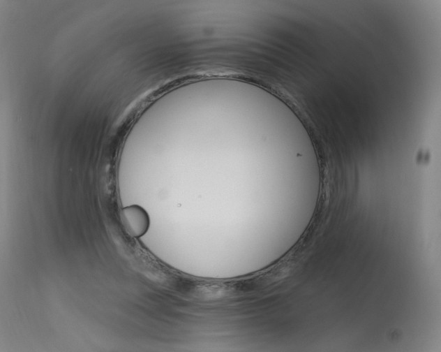 X0000115630351200911101123