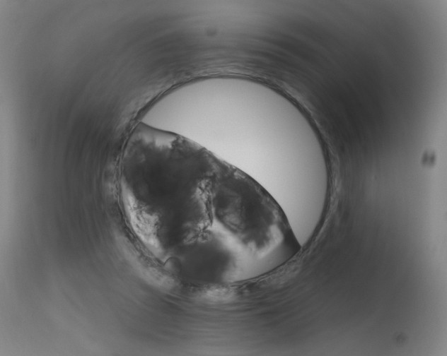 X0000115630353200911101123