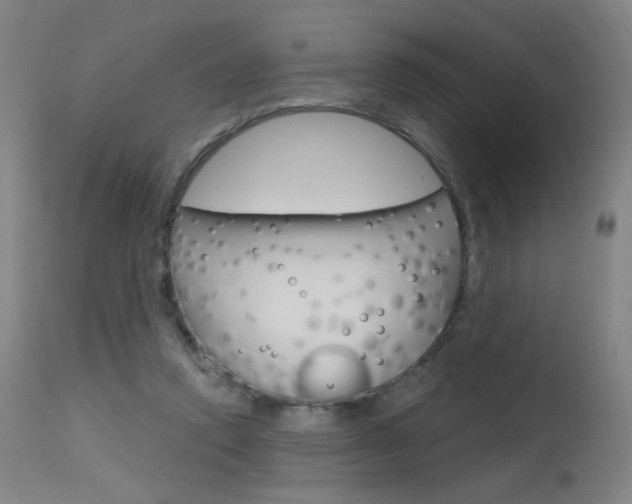 X0000115630354200911101123