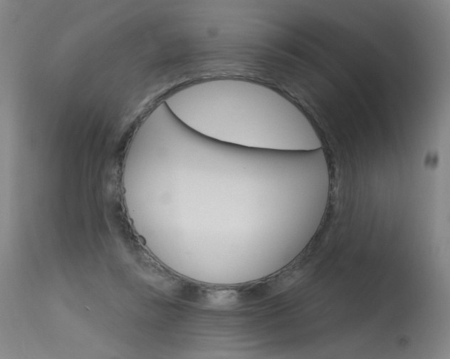 X0000115630355200911101123