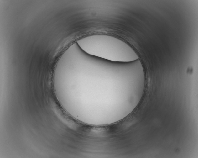 X0000115630357200911101123
