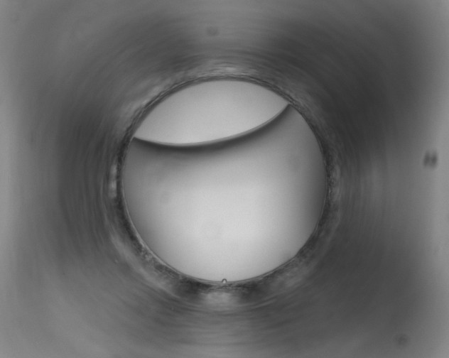 X0000115630358200911101123