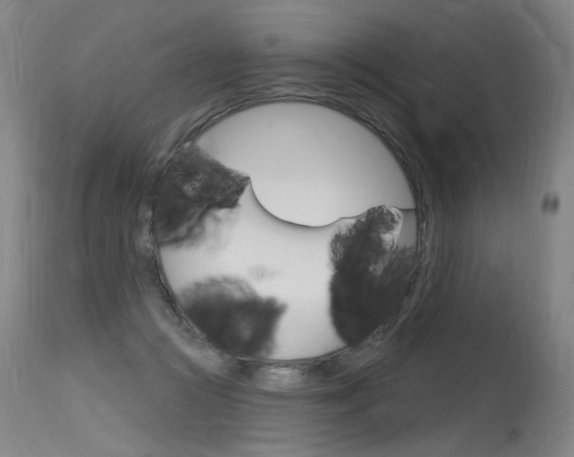 X0000115630361200911101124
