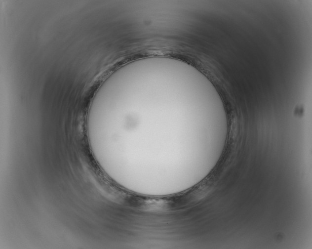 X0000115630363200911101124