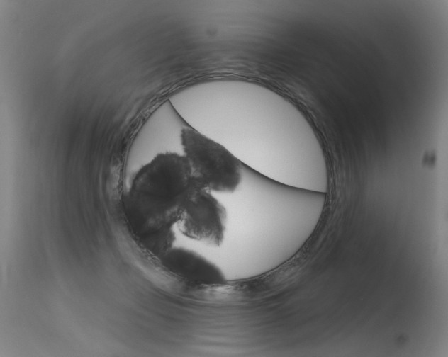 X0000115630365200911101124