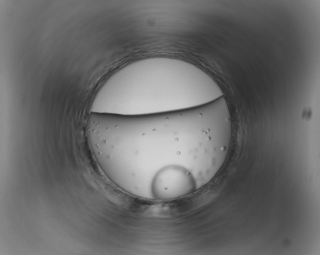 X0000115630366200911101124