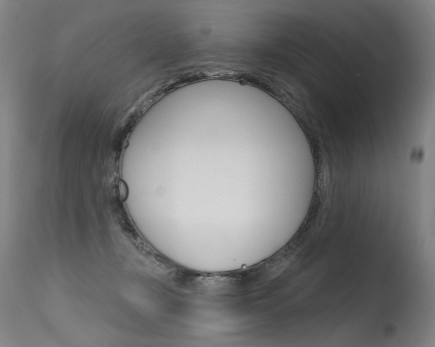 X0000115630367200911101124
