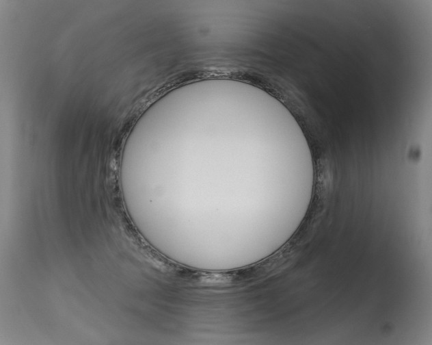 X0000115630369200911101124