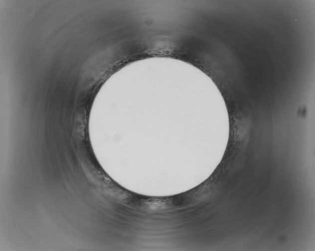 X0000115630370200911101124