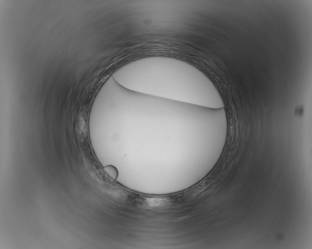 X0000115630371200911101124