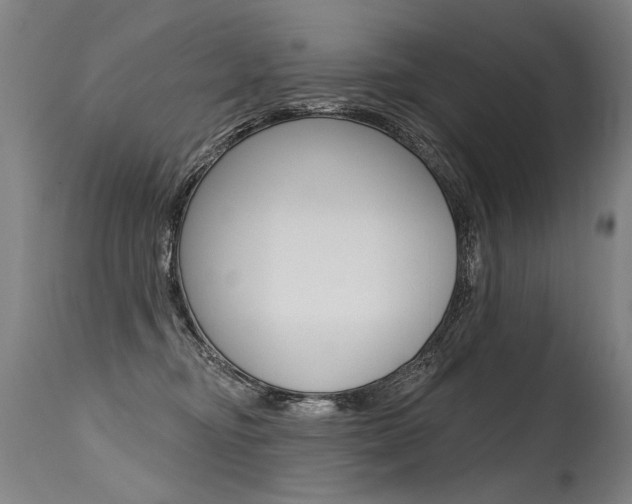 X0000115630374200911101124