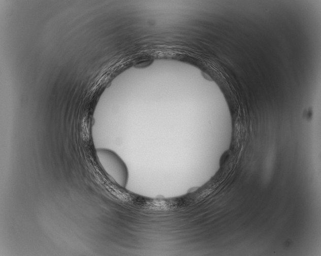 X0000115630381200911101124