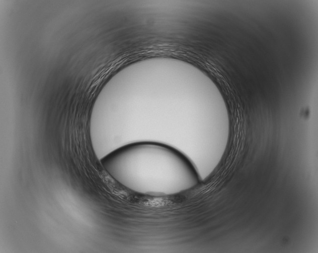 X0000115630382200911101124