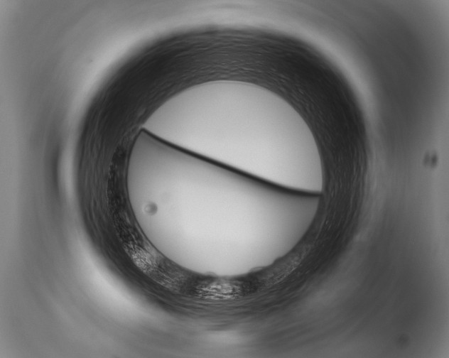 X0000115630383200911101124