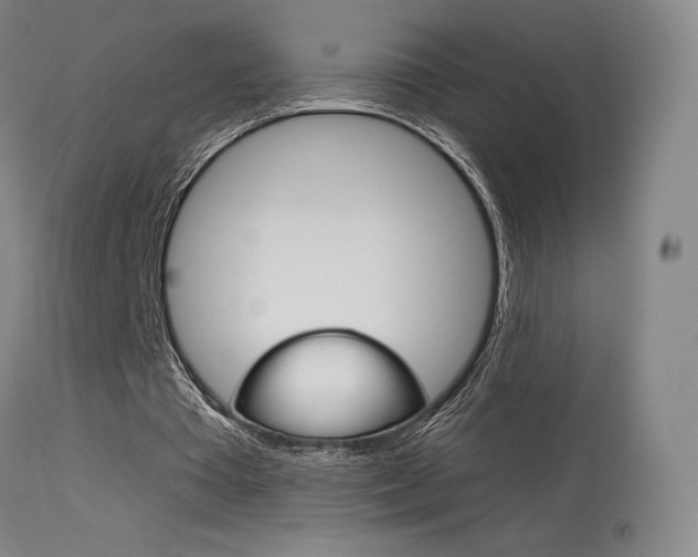 X0000115630385200911101123