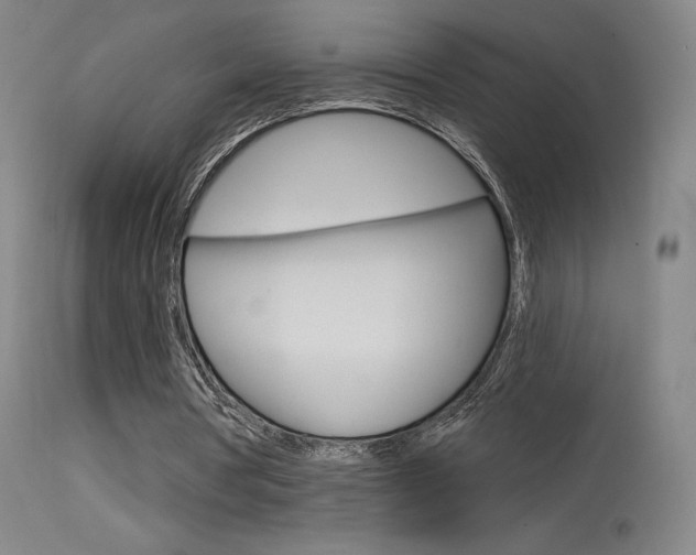 X0000115630386200911101123