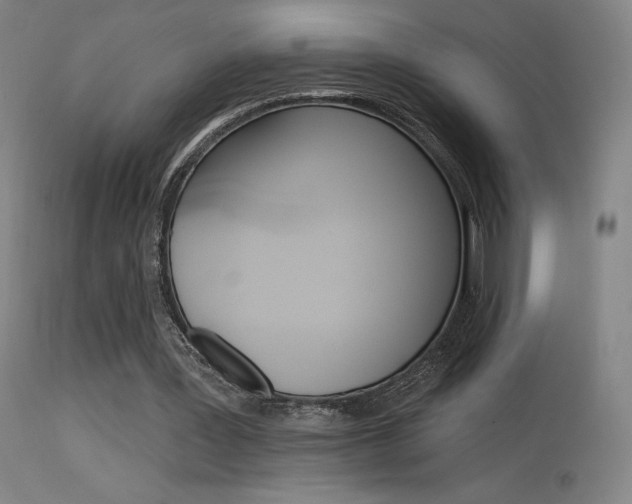 X0000115630387200911101123