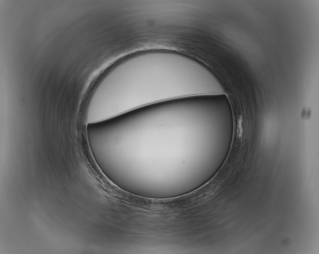X0000115630388200911101123