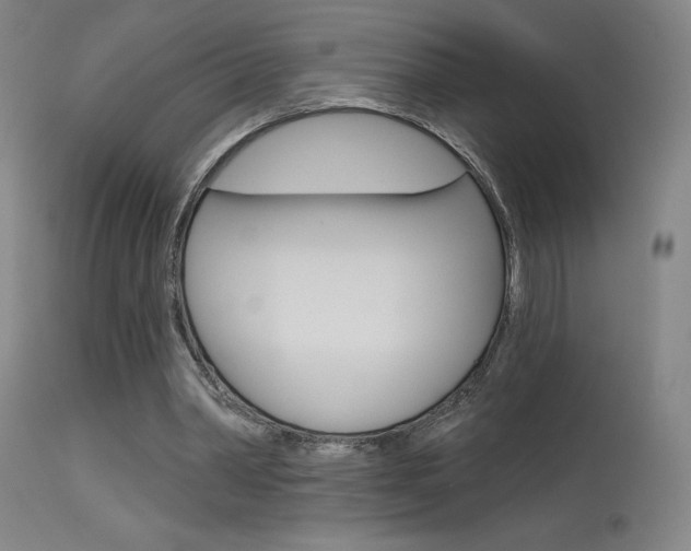 X0000115630390200911101123