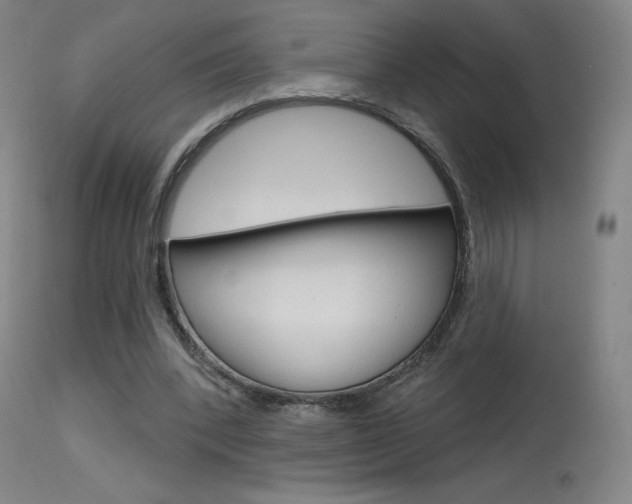 X0000115630392200911101123