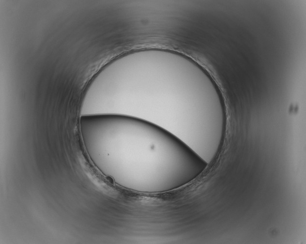 X0000115630393200911101123