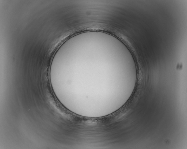 X0000115630394200911101123