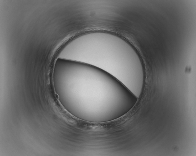 X0000115630395200911101123