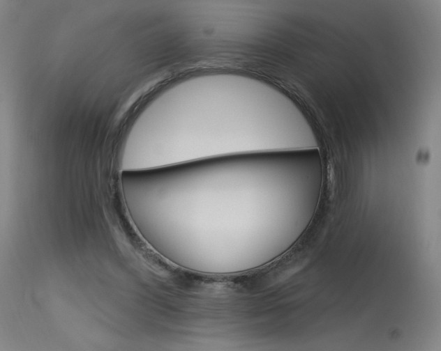 X0000115630396200911101123