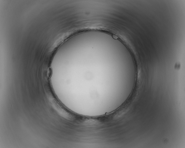 X0000115630397200911101123
