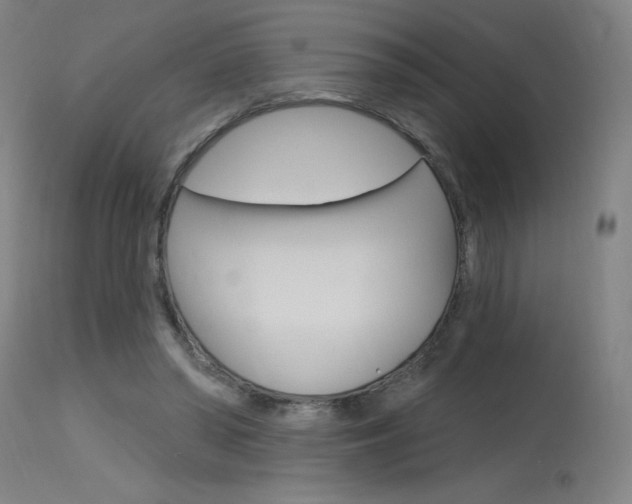 X0000115630398200911101123
