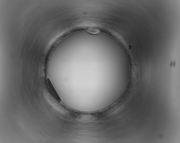 X0000115630399200911101123