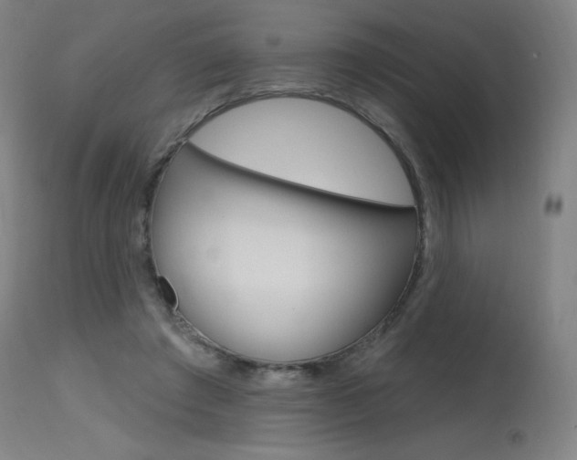 X0000115630401200911101123