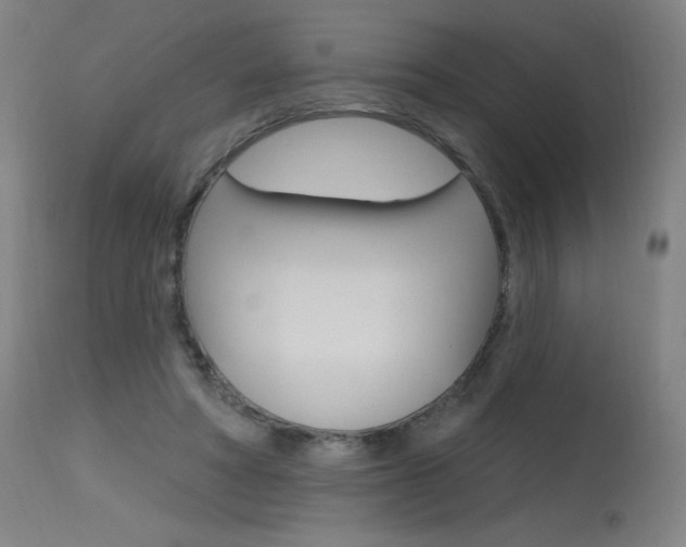 X0000115630402200911101123