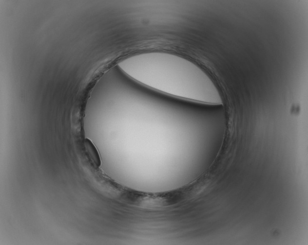 X0000115630403200911101123