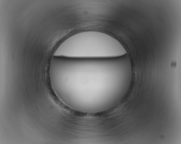 X0000115630404200911101123