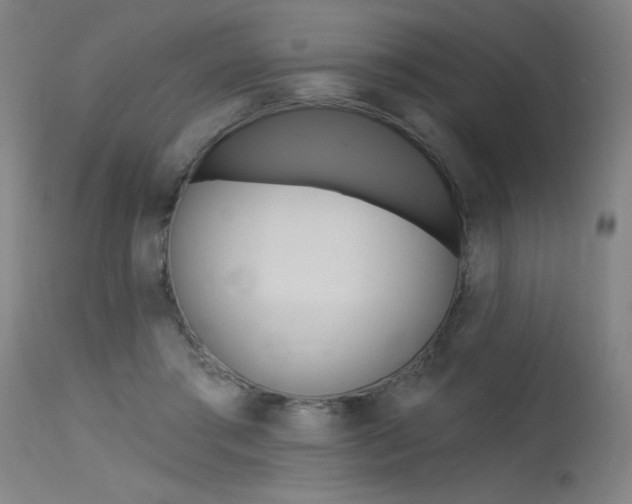 X0000115630405200911101123