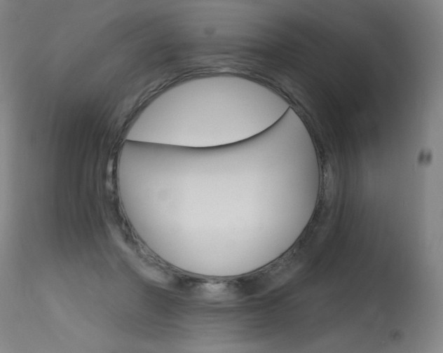 X0000115630406200911101123