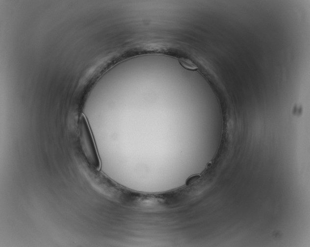 X0000115630407200911101123