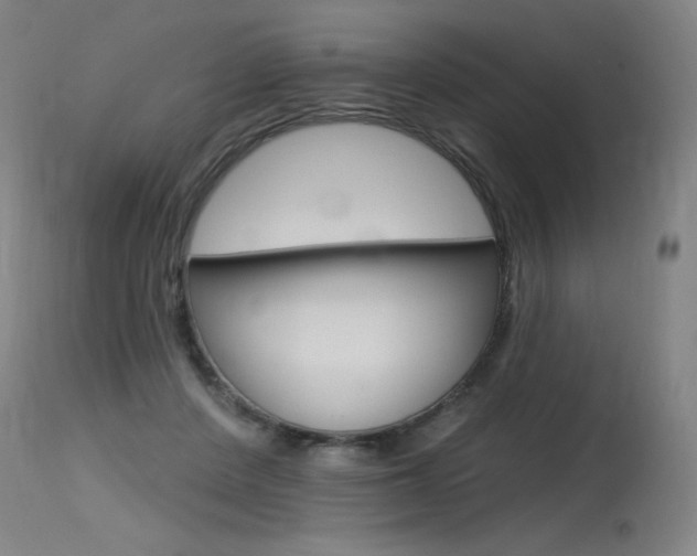X0000115630408200911101123