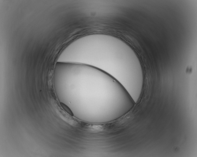 X0000115630409200911101123