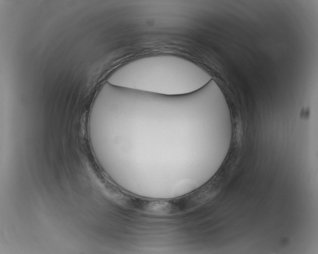 X0000115630410200911101123