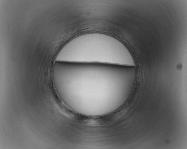 X0000115630412200911101123