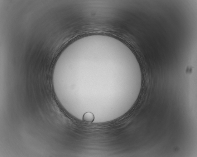 X0000115630415200911101123