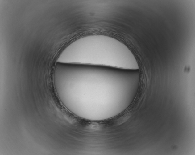 X0000115630416200911101123