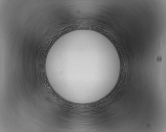 X0000115630417200911101123