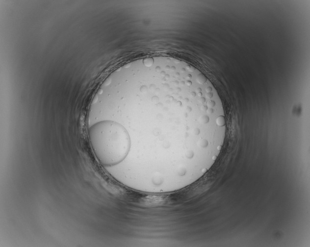 X0000115630418200911101123