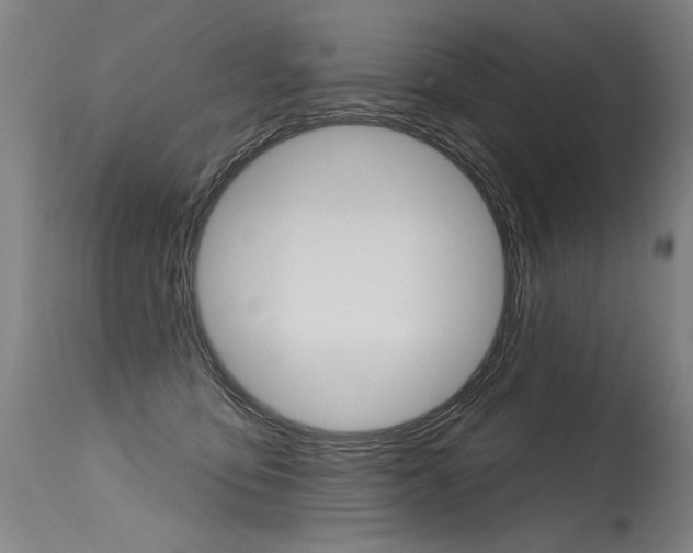 X0000115630419200911101123