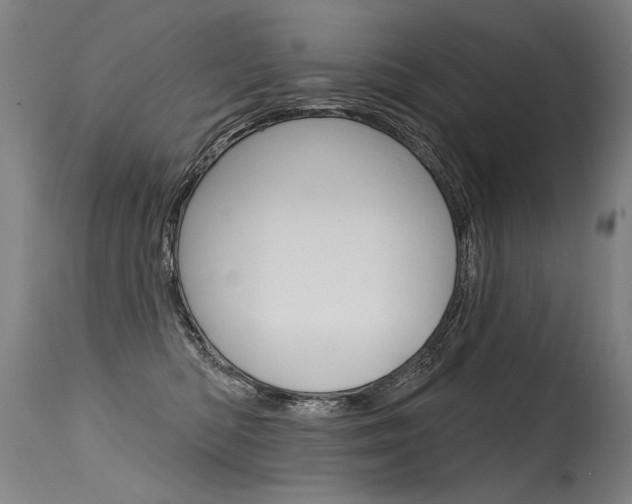 X0000115630422200911101123