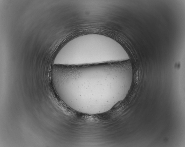 X0000115630424200911101123