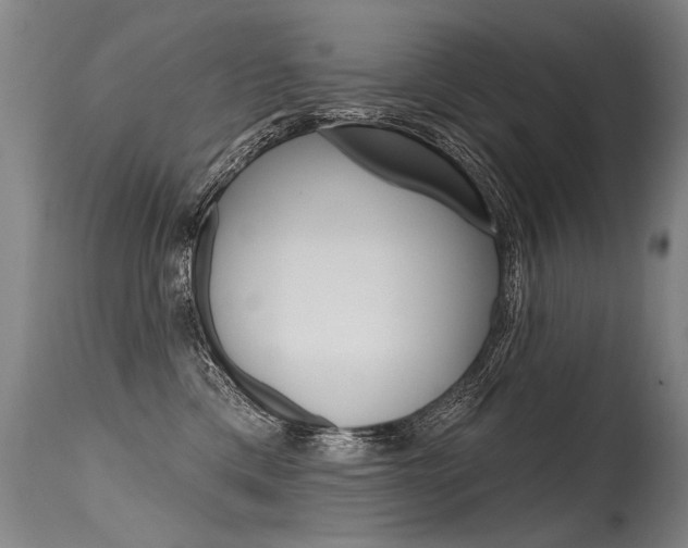 X0000115630425200911101123